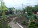 DSCN8808_4268