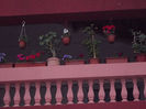 DSCN8810_4270
