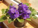 DSCN8739_4199