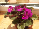 DSCN8740_4200