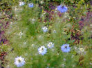 Fotogr.1262