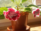 DSCN8834_4294
