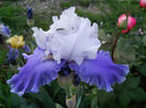 DSCN4738