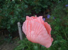DSCF1167