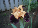P1190983