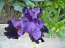 P1200016