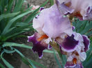 P1200022