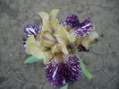 P1200024