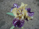 P1200025