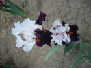 P1200026