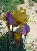 P1200038