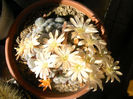 IMAG0045