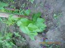 DSCN3211