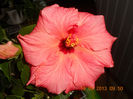 DSCN3219