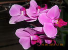 DSCN3229