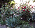 DSC04430