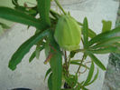 DSC08581