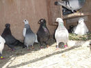 DSCF0927