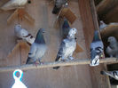 DSCF0928