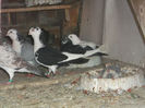 DSCF0936