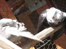 DSCF0950