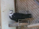 DSCF0952