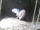 20130519_154526