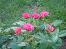 DSC05728