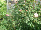 DSC05735