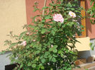 DSC05736