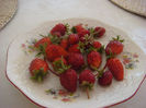 DSC05756