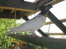 Picture 875