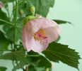 P1430941