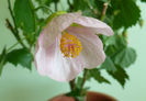 P1430942