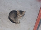 DSCN8314_3783