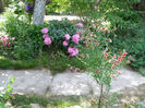 P1018107