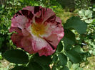 P1018105