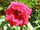 P1018128
