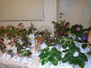 DSC00182