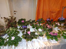 DSC00183