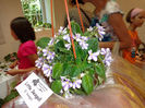 DSC00187