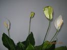IMG_3836