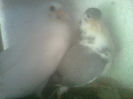 Image0566