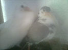 Image0567