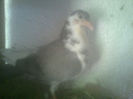 Image0569