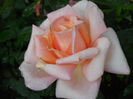 DSCN3222