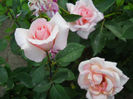 DSCN3243