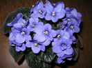 IMG_4999 - 2013