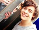 ﻉ√٥ﺎ Harry ﻉ√٥ﺎ