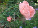 DSCF1191